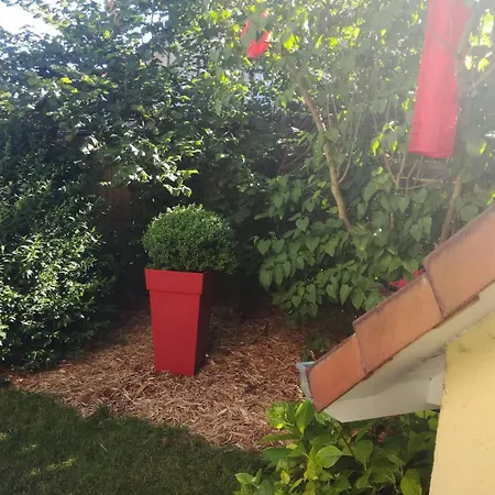 Апартаменты Au Bon Repos - Escapade Ideale Au Coeur De L'alsace